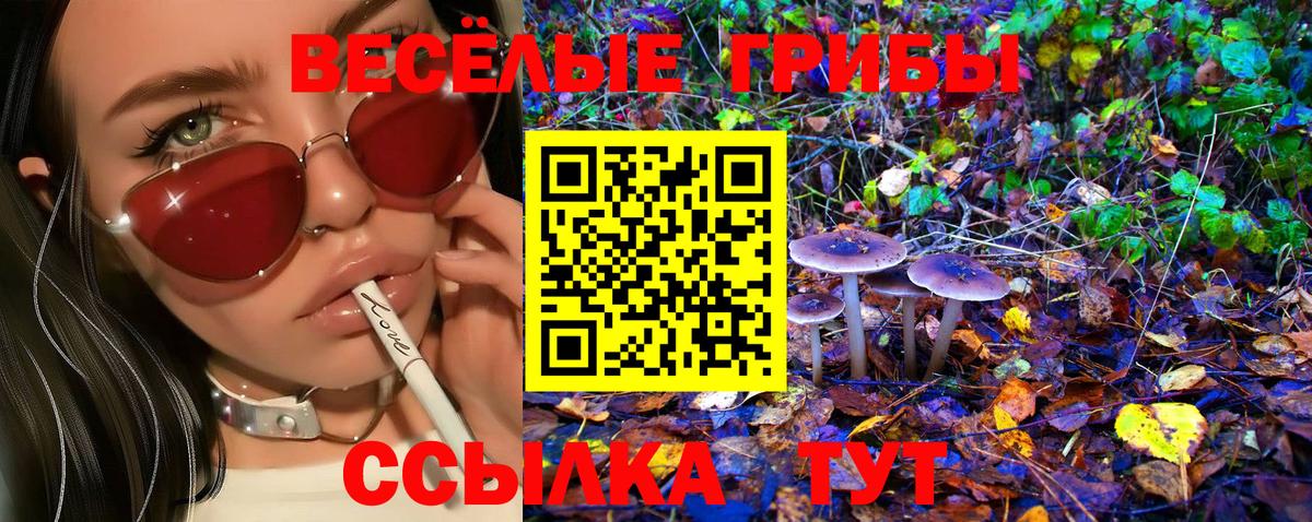 купить   Псилоцибиновые грибы Psilocybine cubensis  Галлюциногенные грибы Psilocybe  Вход с VPN  Сорочинск 