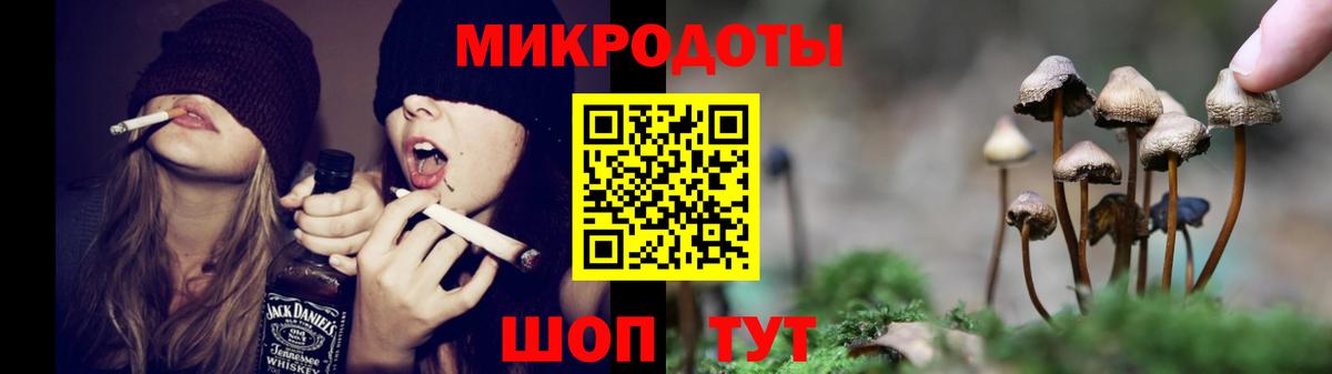 Галлюциногенные грибы Psilocybe Сорочинск
